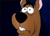 Scooby Doo disoriented