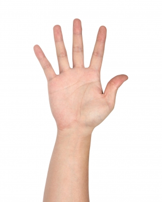 Hand, five fingers
